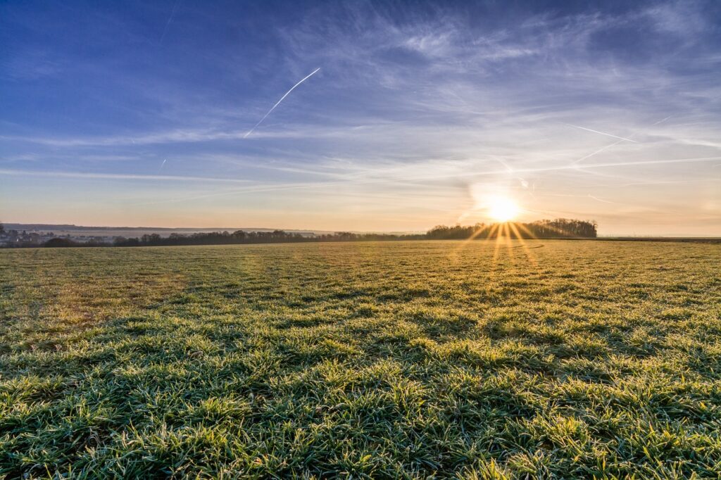 landscape, field, nature-664923.jpg